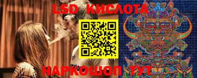 СК Балашиха