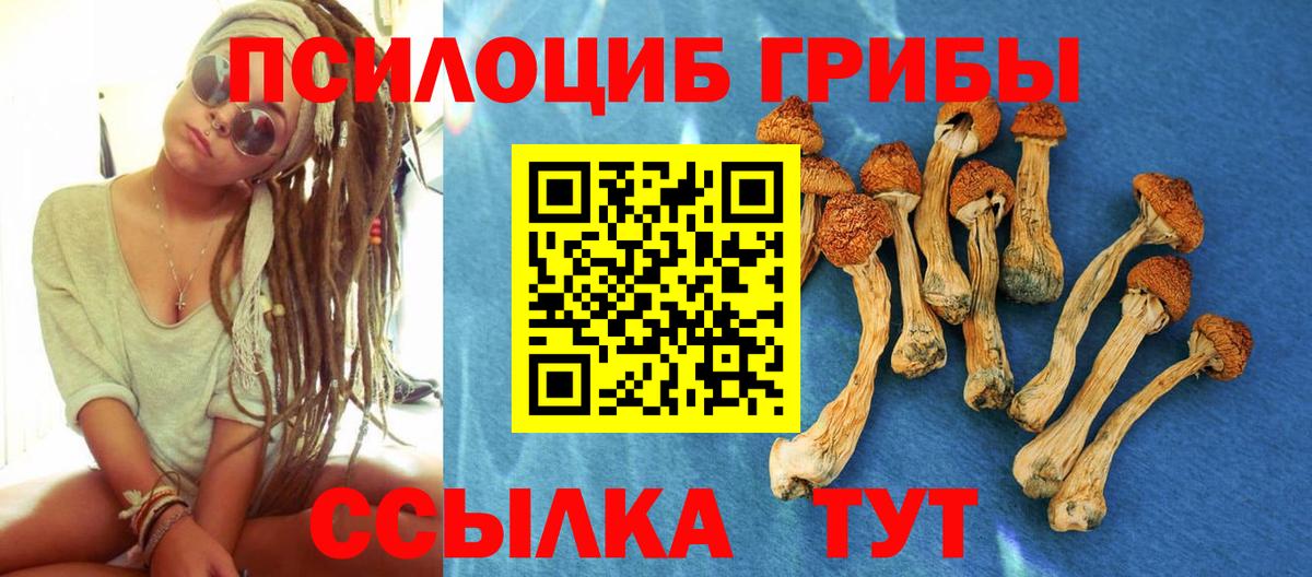 Минусинск  Галлюциногенные грибы Psilocybe  наркошоп  Вход с VPN  Галлюциногенные грибы прущие грибы 